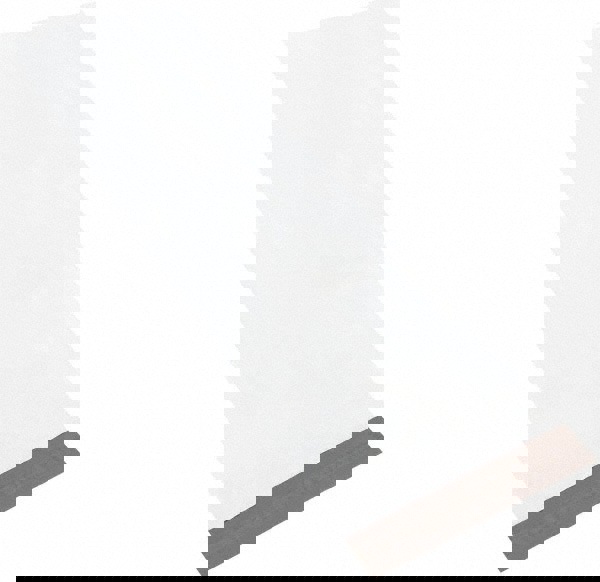 Courier Mailing Envelope: 13